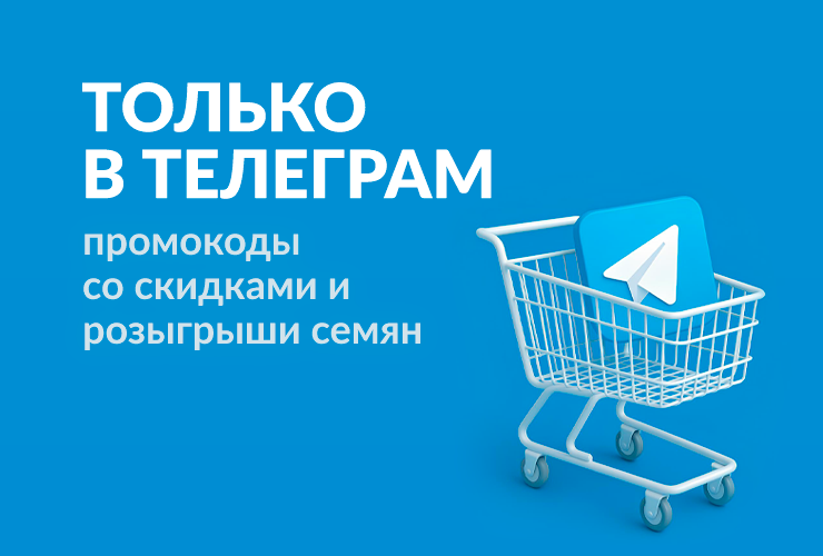 телеграм семена конопли